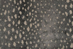 086 Titani