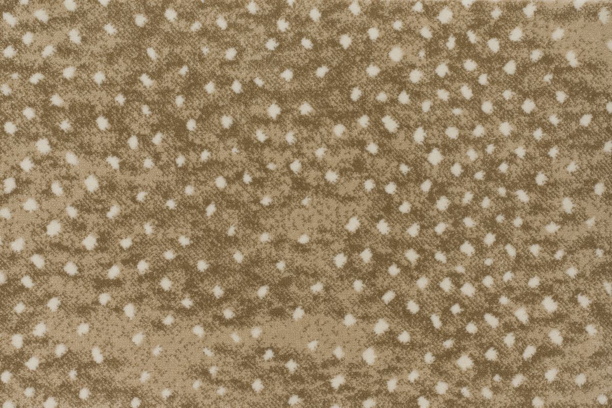 Derning - 24 Almond Rectangular 5'0''x10'0''