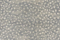 Derning II - 28 Ash Rectangular 4'0''x3'0''
