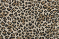 Wildlife - 37 Sahara Rectangular 9'0''x3'0''