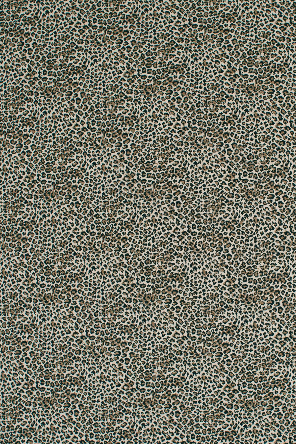37 Sahara