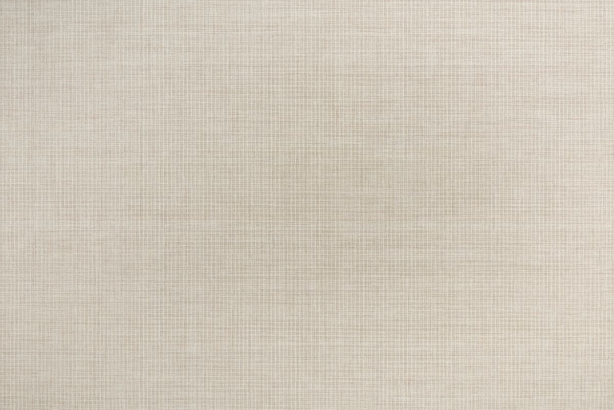 91 Ivory