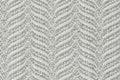 92 Fern