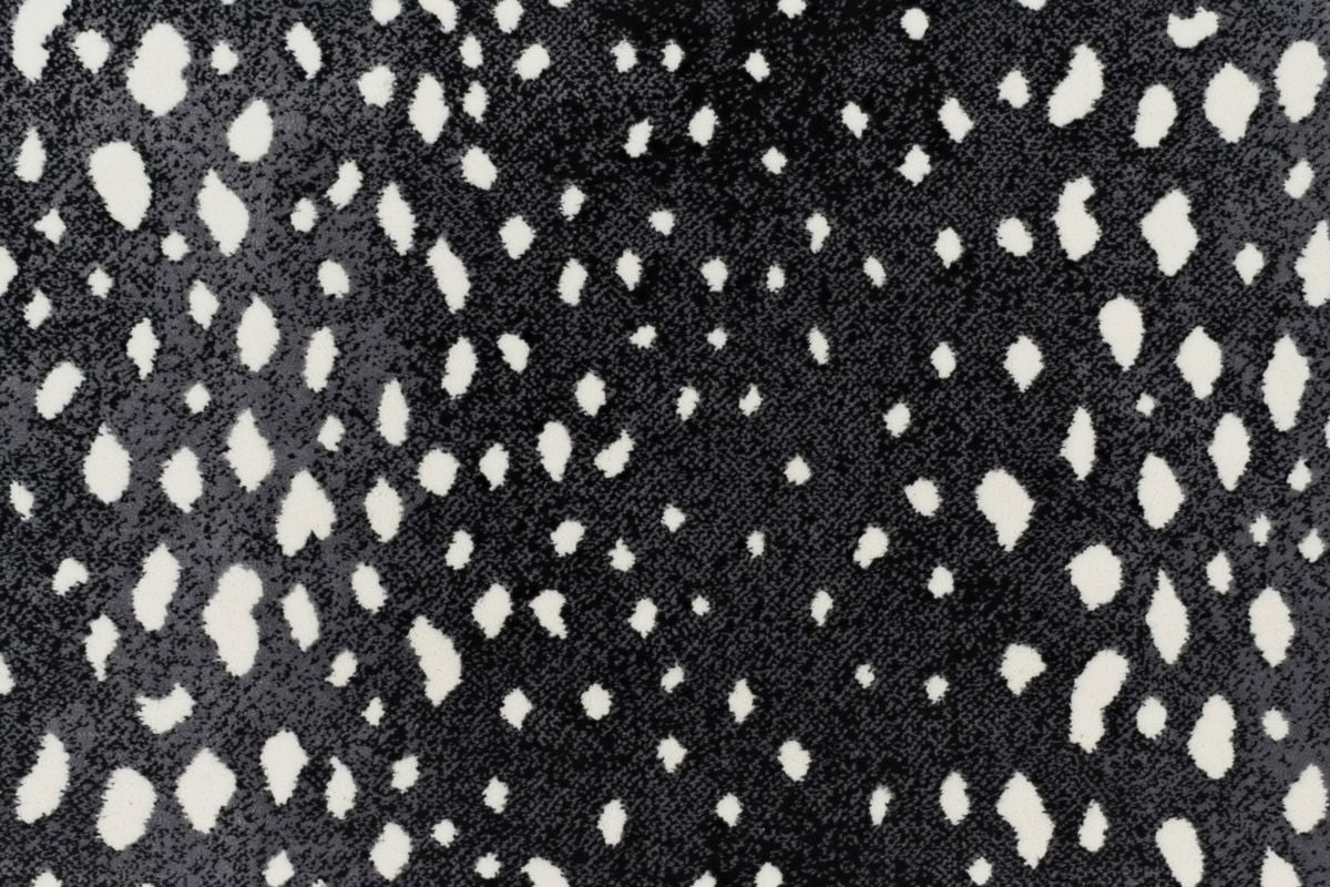 T01000740_CL