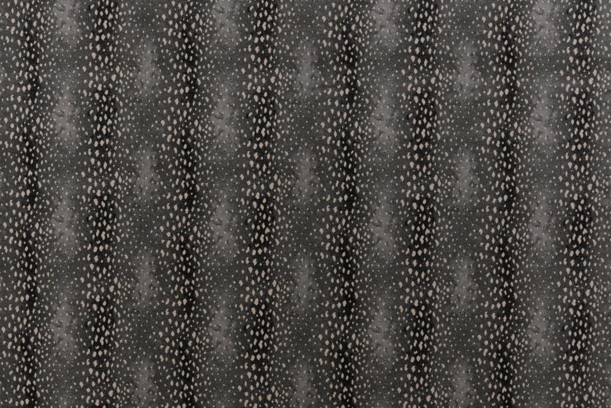 T01000741_ALT2