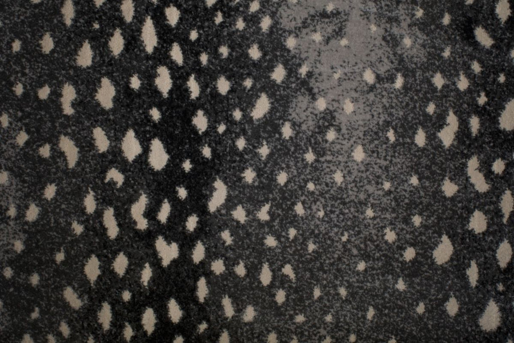 T01000741_CL