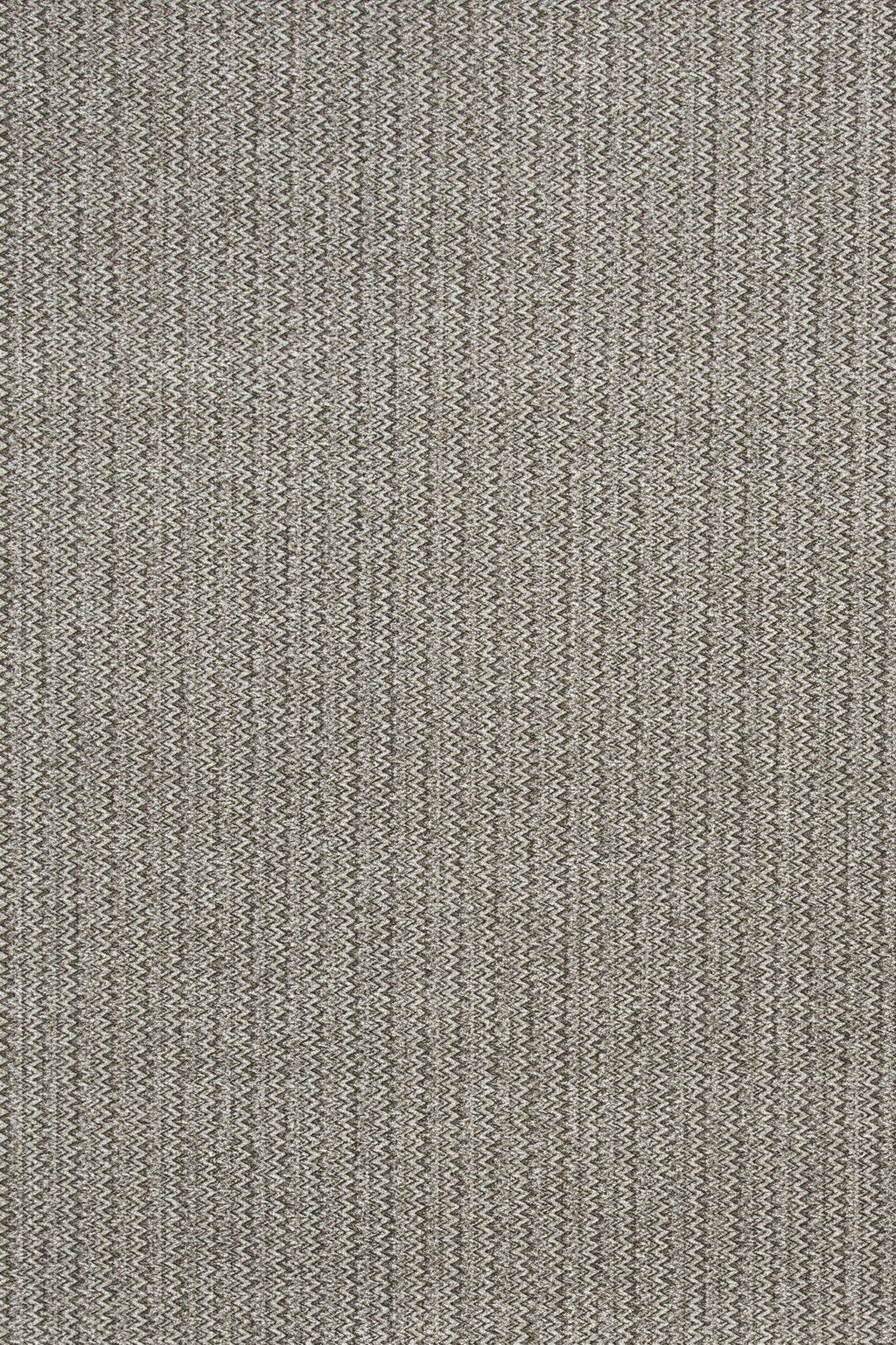 T01001031