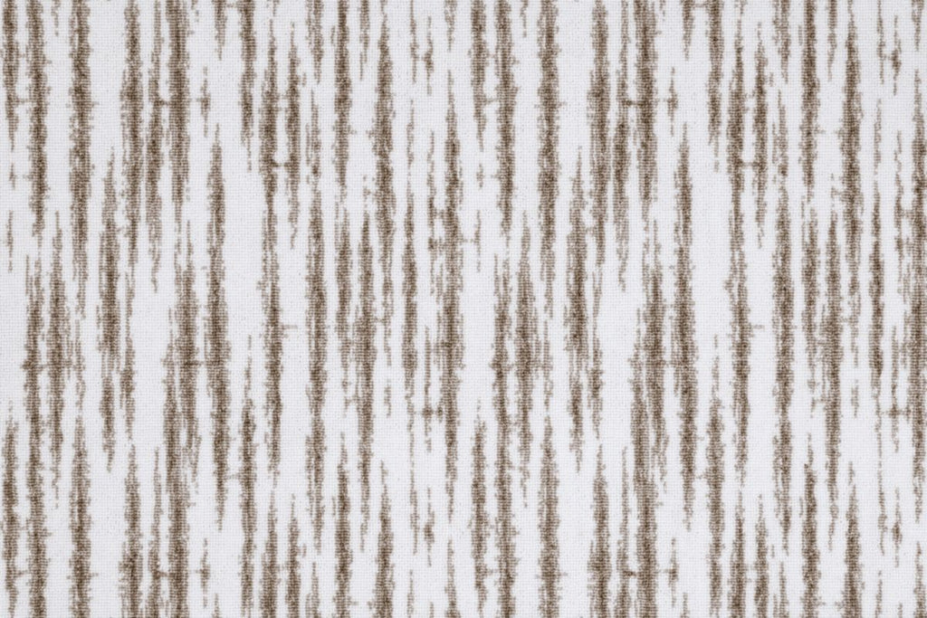 T01002019_CL