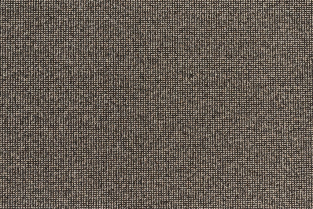 T01006001_CL
