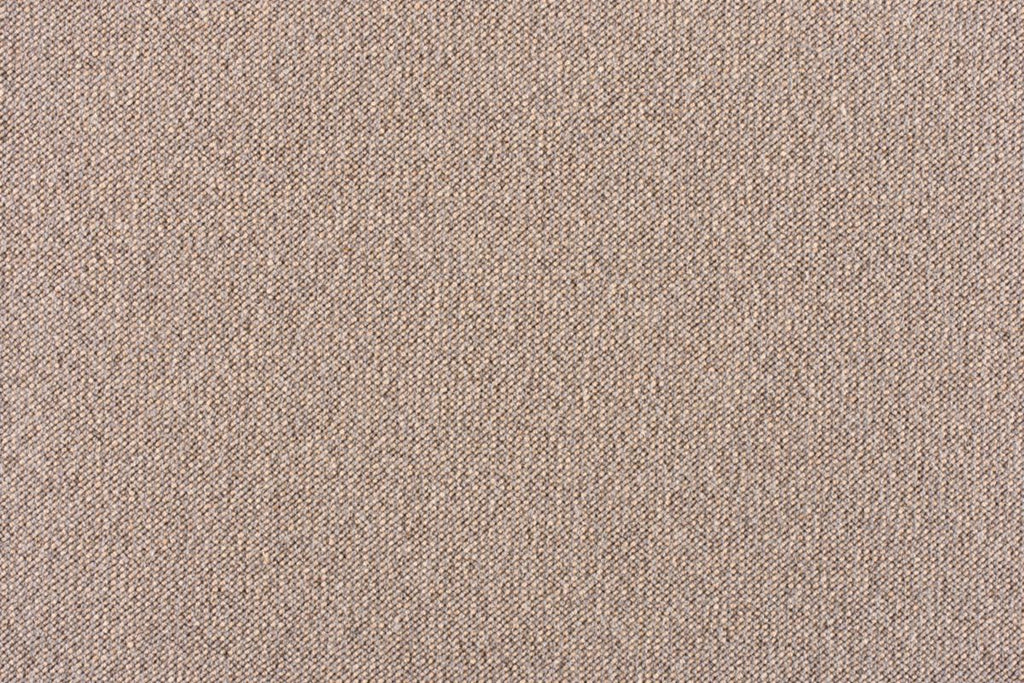 T01006002