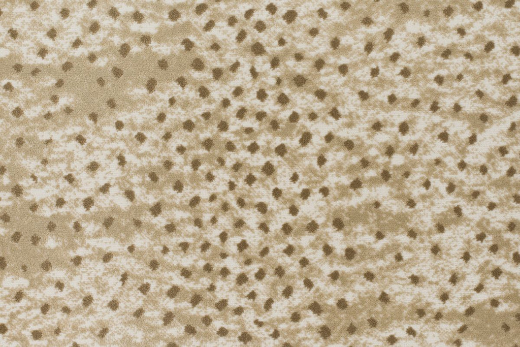 T01006618_CL