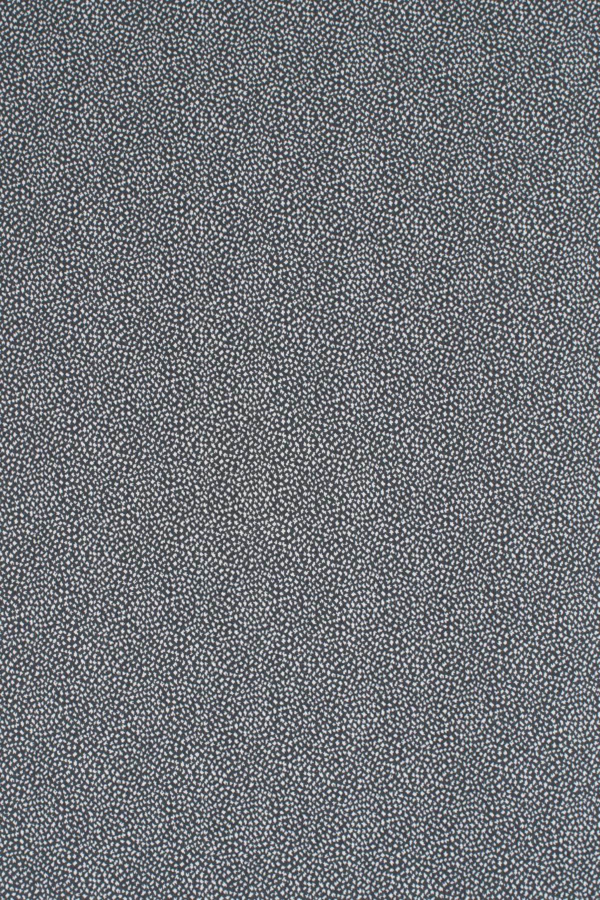 T01006983_ALT2