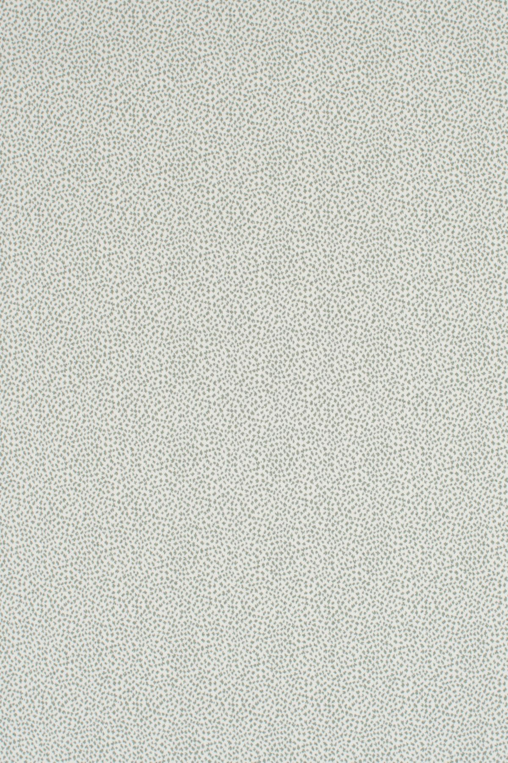T01006989_ALT2