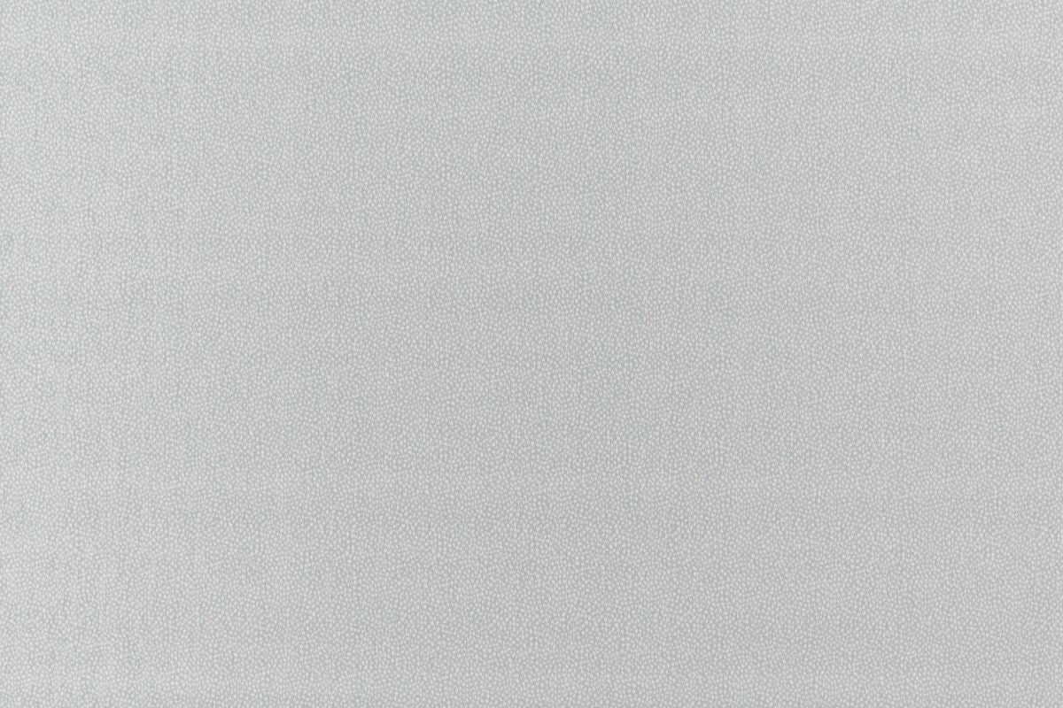 T01006998_ALT2