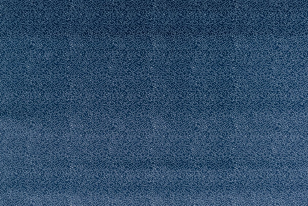 T01007029_ALT2