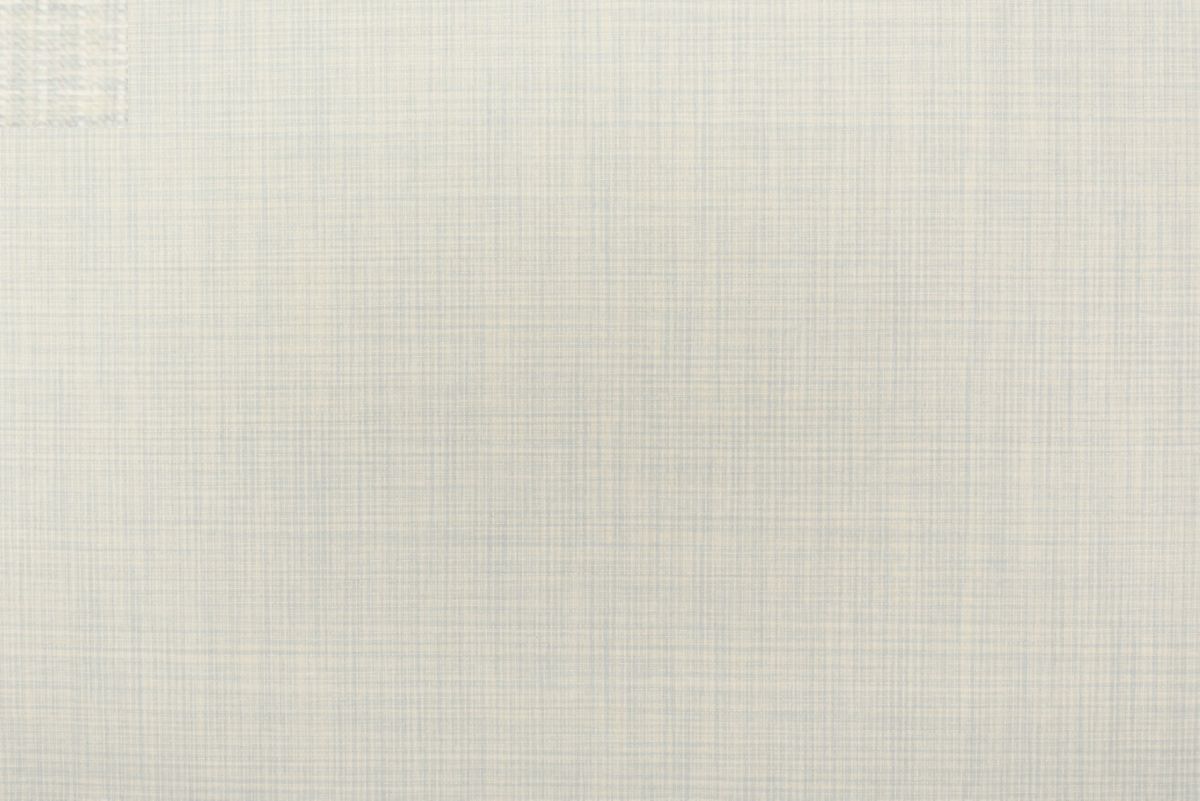 T01009888_ALT2