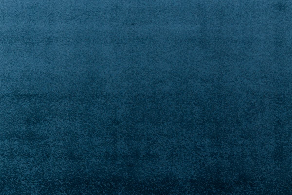 T01010184_ALT2
