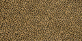 T01010487_SAMPLE