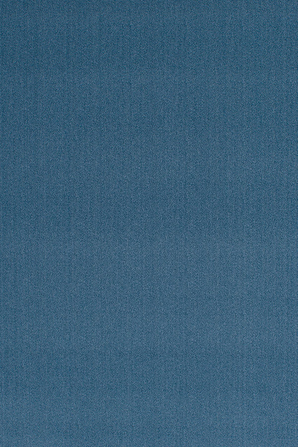 T01010724_ALT2
