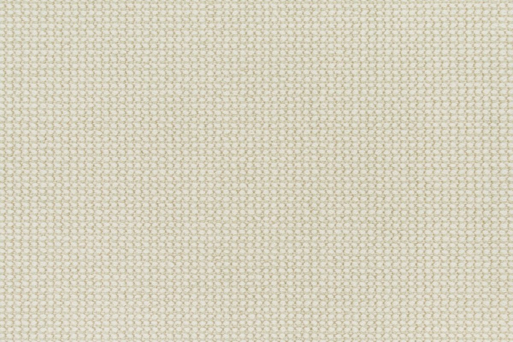 T01014207_CL