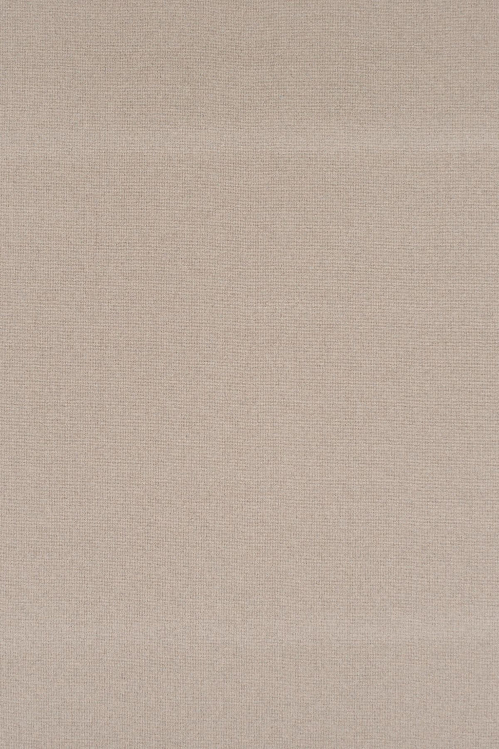 T01014999_ALT2