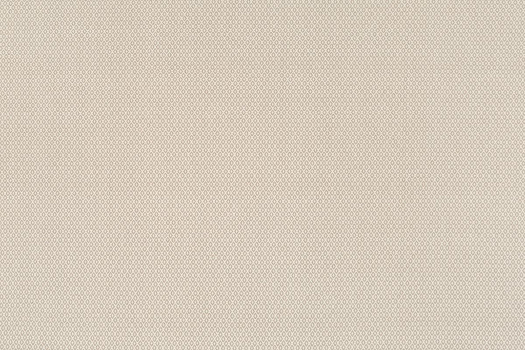 T01016005_ALT2