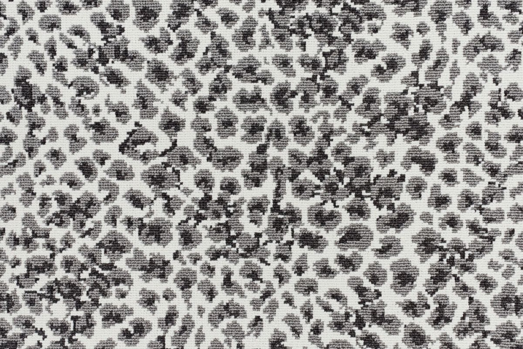 T01016848_CL