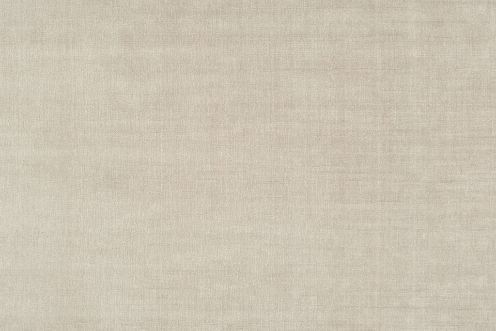 T01017488_ALT2
