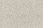 56 Pearl/dove