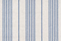 75 Cornflower/ro